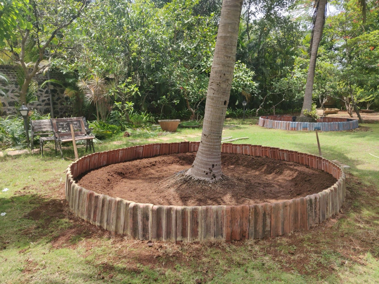 Companion planting in a productive vegetable bed