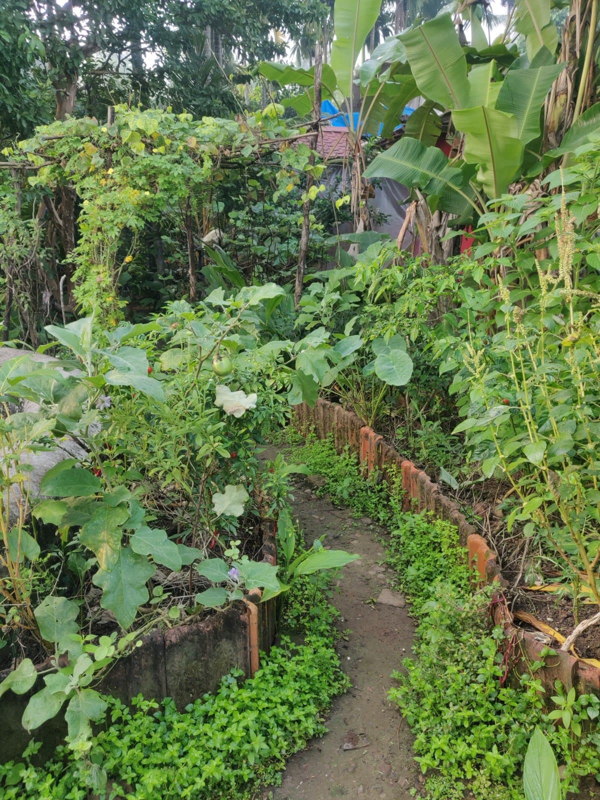 A productive garden built on compost-rich soil