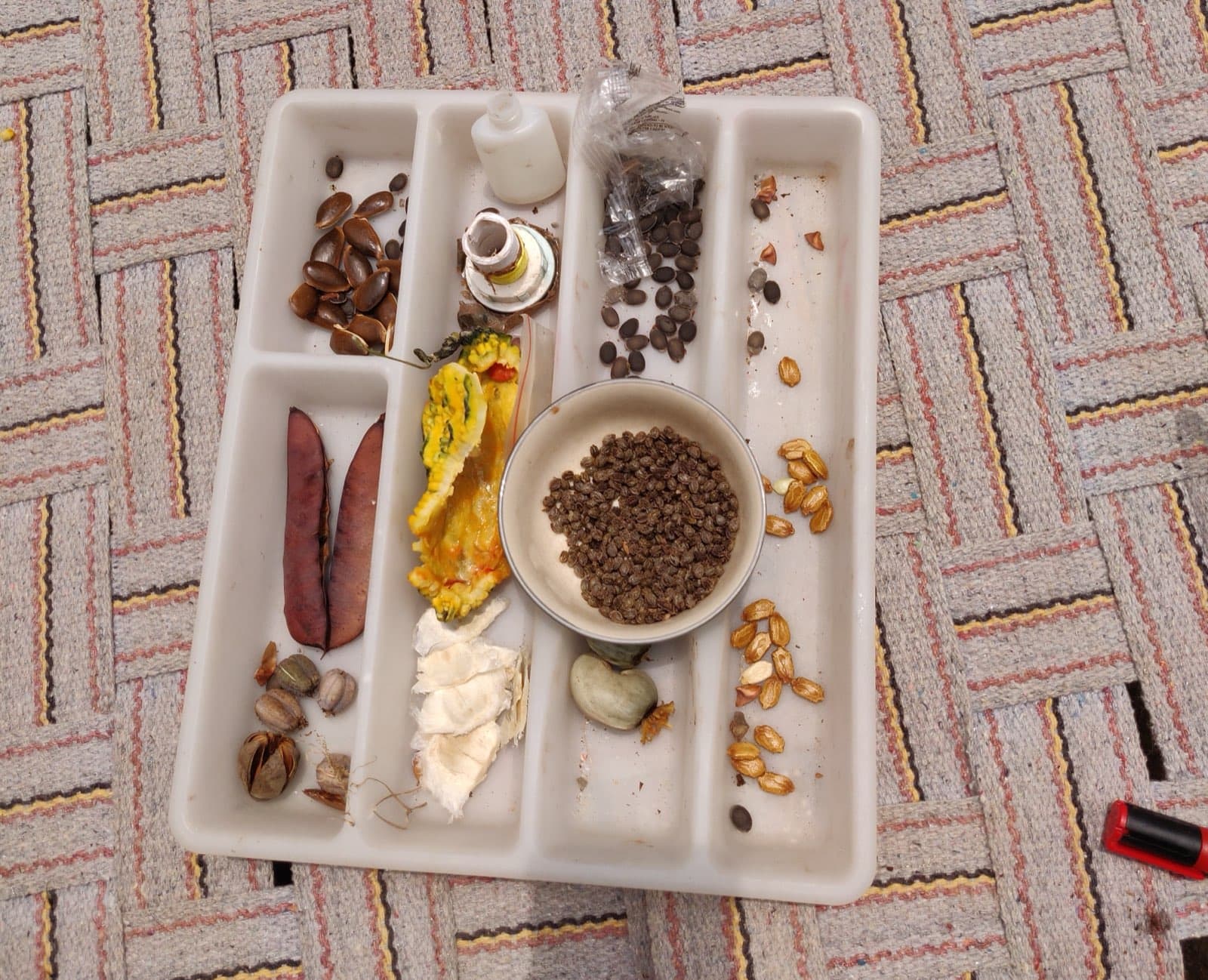 Seed saving and storage