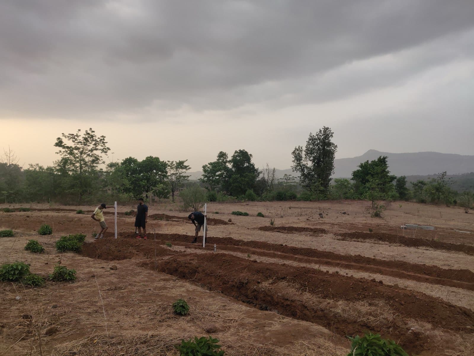 Earthworks shaping the land to hold water